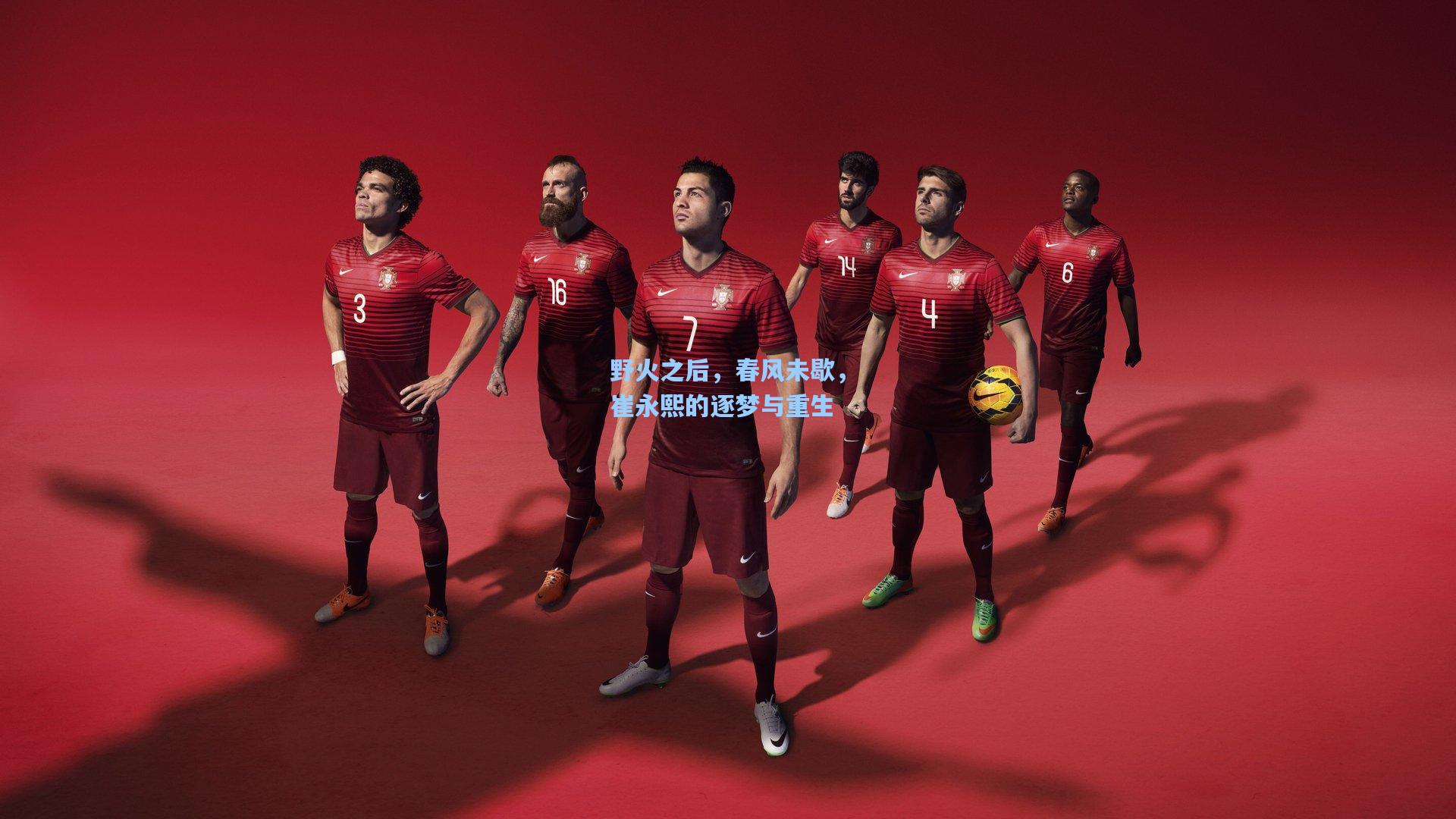 野火之后，春风未歇，崔永熙的逐梦与重生